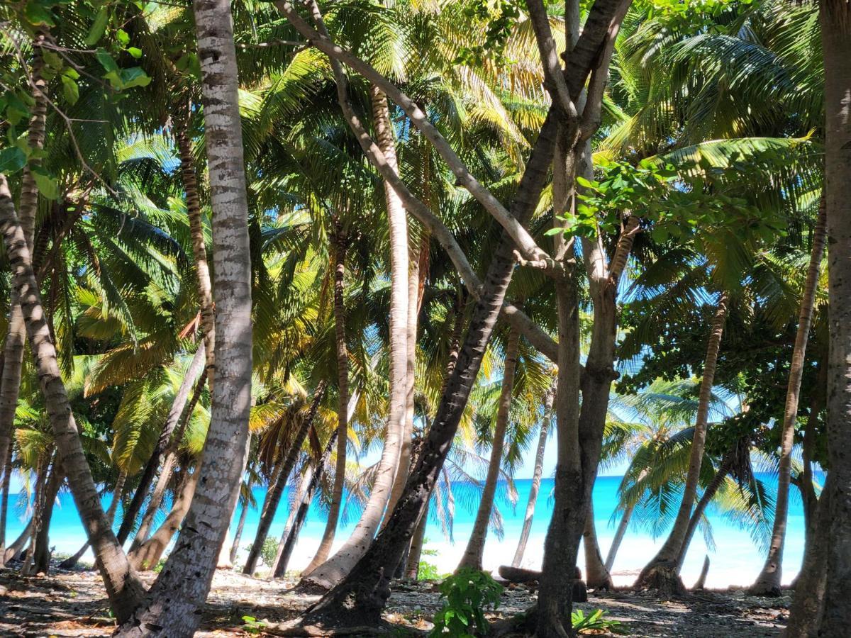 Beachfront Apartment, Quiet 4 Beds, 1 Bath, Ac, Wi-Fi, Hot Water, In Paraiso Near Los Patos Kültér fotó